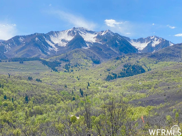 5 E HAPPY HOLLOW DR Springville, UT 84663