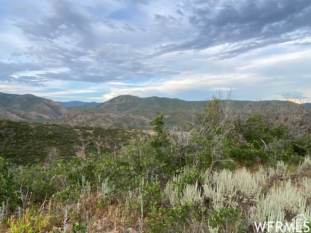 8 N SPRING MOUNTAIN DR Springville, UT 84663