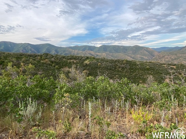 8 N SPRING MOUNTAIN DR Springville, UT 84663
