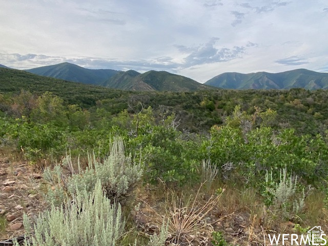 8 N SPRING MOUNTAIN DR Springville, UT 84663