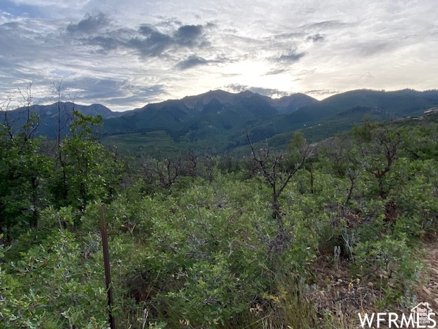 8 N SPRING MOUNTAIN DR Springville, UT 84663