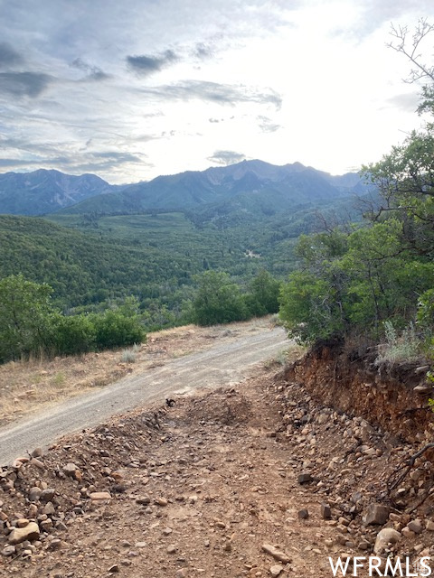 8 N SPRING MOUNTAIN DR Springville, UT 84663