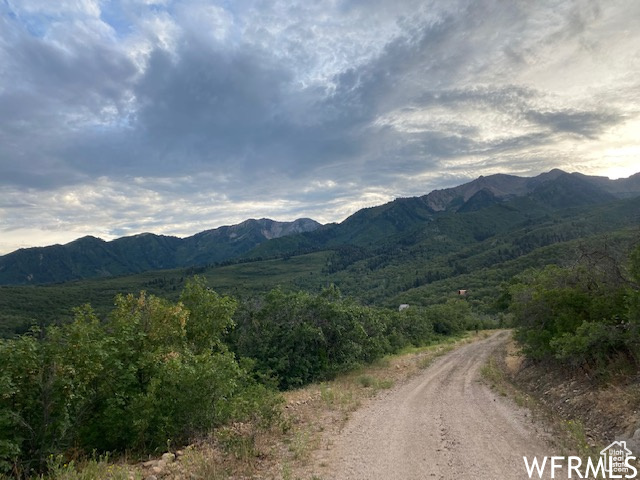 8 N SPRING MOUNTAIN DR Springville, UT 84663