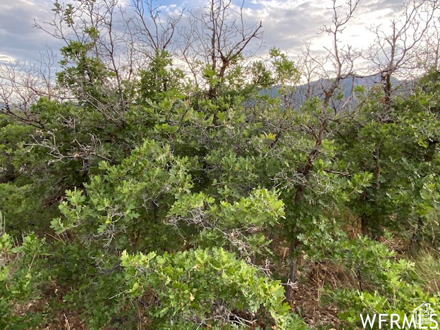8 N SPRING MOUNTAIN DR Springville, UT 84663