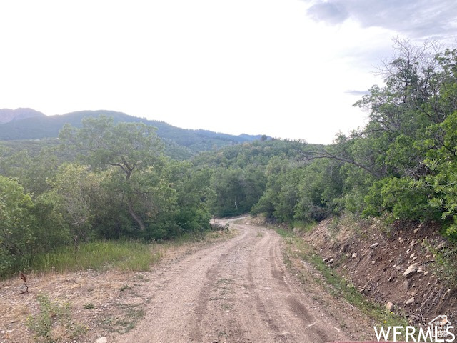 8 N SPRING MOUNTAIN DR Springville, UT 84663