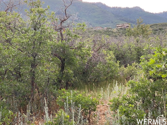 8 N SPRING MOUNTAIN DR Springville, UT 84663