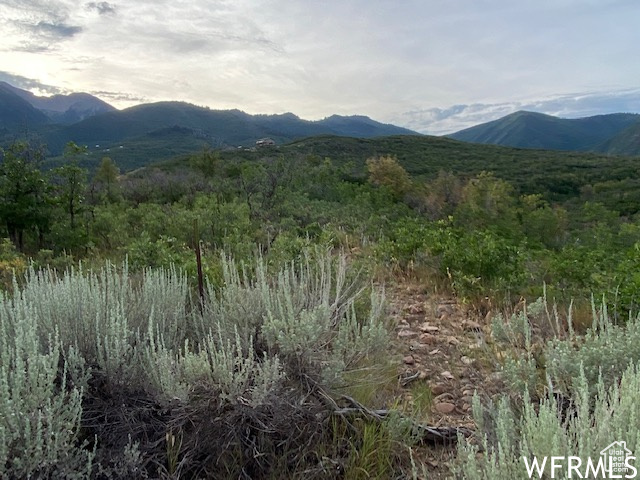 8 N SPRING MOUNTAIN DR Springville, UT 84663