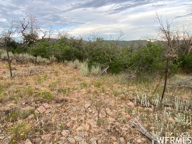 8 N SPRING MOUNTAIN DR Springville, UT 84663