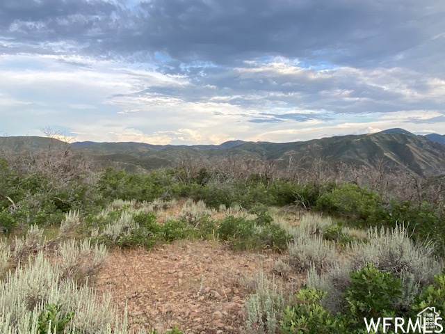 8 N SPRING MOUNTAIN DR Springville, UT 84663