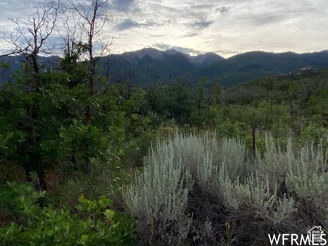 8 N SPRING MOUNTAIN DR Springville, UT 84663