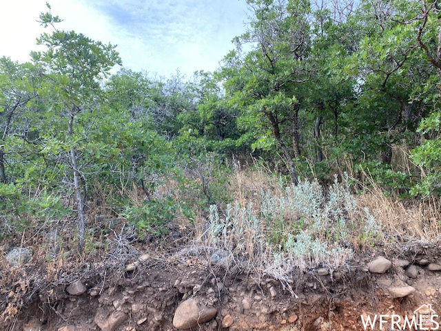 8 N SPRING MOUNTAIN DR Springville, UT 84663