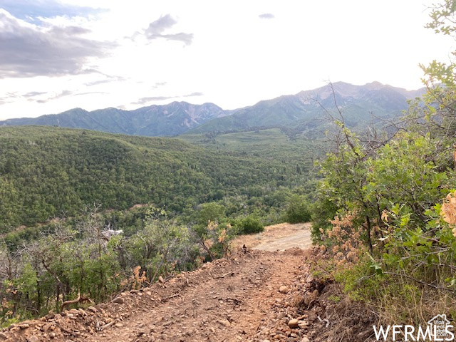 8 N SPRING MOUNTAIN DR Springville, UT 84663