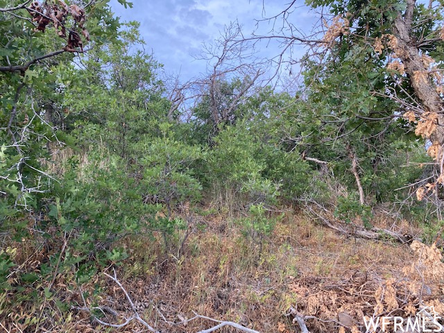 8 N SPRING MOUNTAIN DR Springville, UT 84663
