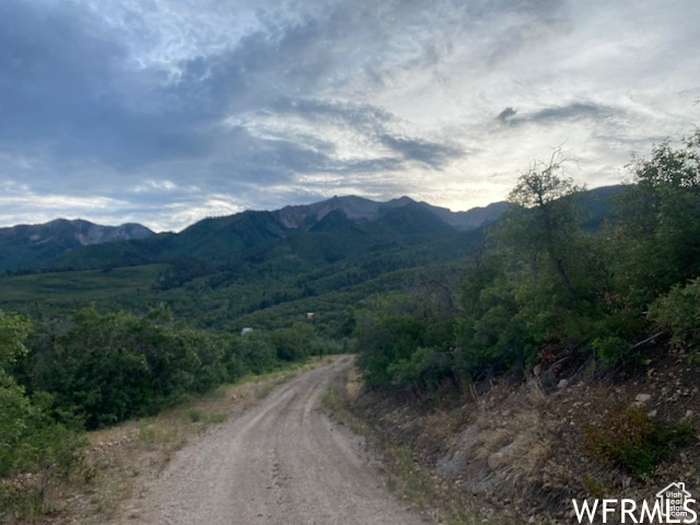 8 N SPRING MOUNTAIN DR Springville, UT 84663