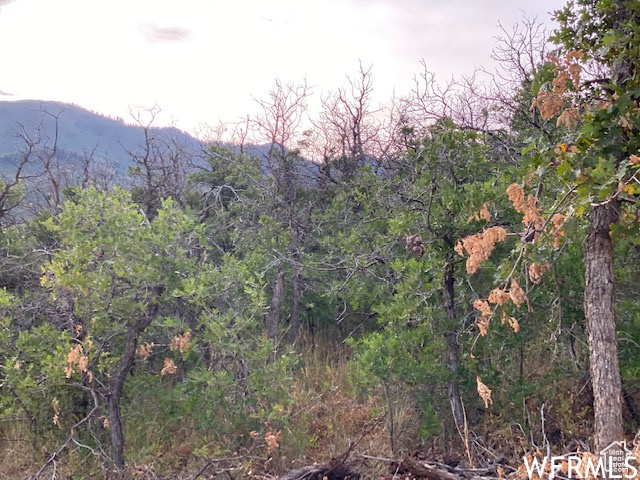 8 N SPRING MOUNTAIN DR Springville, UT 84663