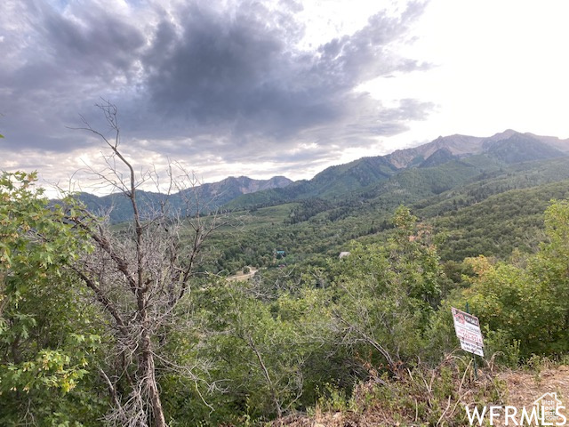 8 N SPRING MOUNTAIN DR Springville, UT 84663