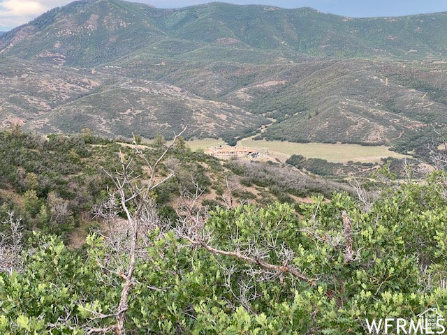 8 N SPRING MOUNTAIN DR Springville, UT 84663