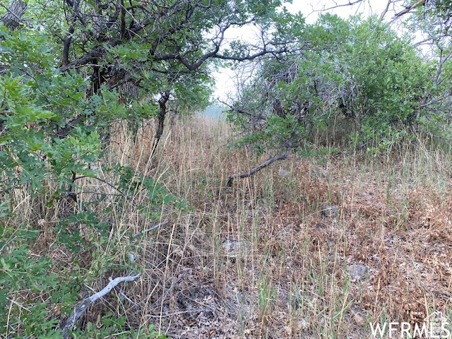 8 N SPRING MOUNTAIN DR Springville, UT 84663