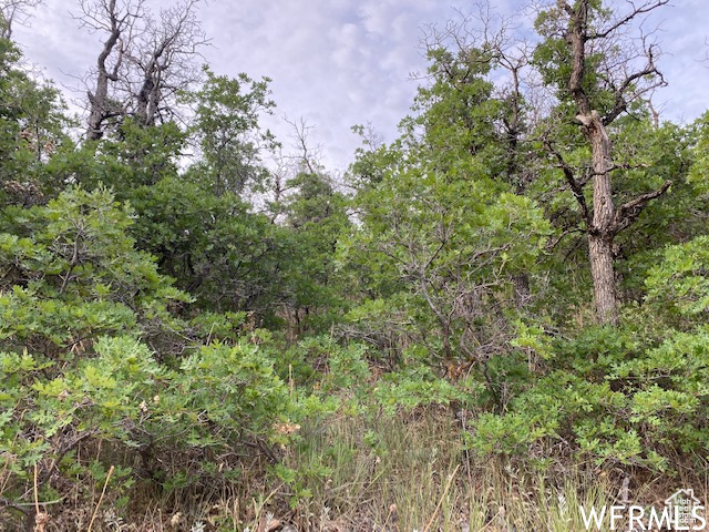 8 N SPRING MOUNTAIN DR Springville, UT 84663