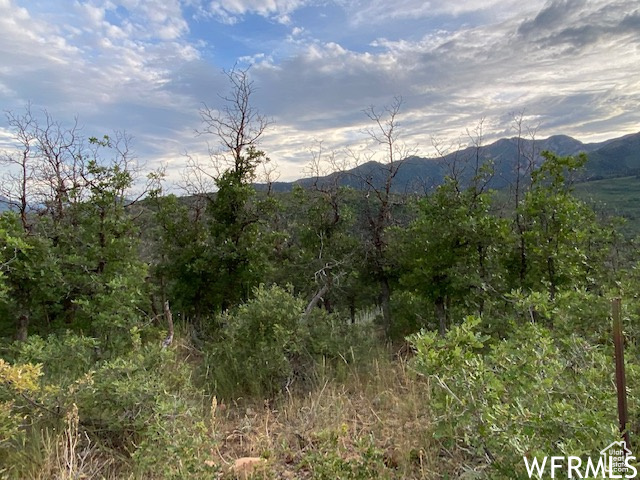 8 N SPRING MOUNTAIN DR Springville, UT 84663