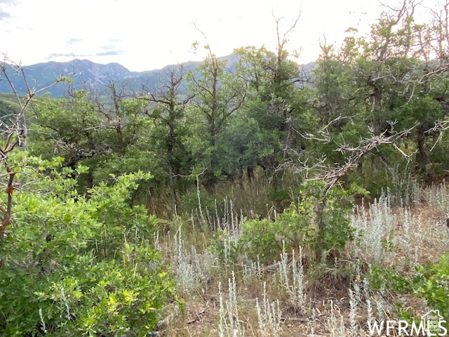 8 N SPRING MOUNTAIN DR Springville, UT 84663