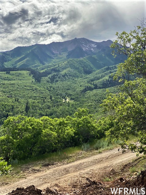 9 E SPRING MOUNTAIN DR Springville, UT 84663