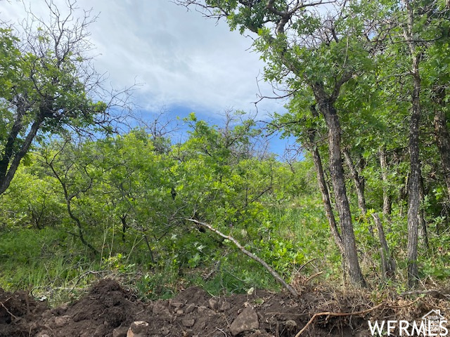 9 E SPRING MOUNTAIN DR Springville, UT 84663
