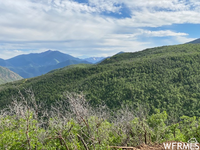 9 E SPRING MOUNTAIN DR Springville, UT 84663