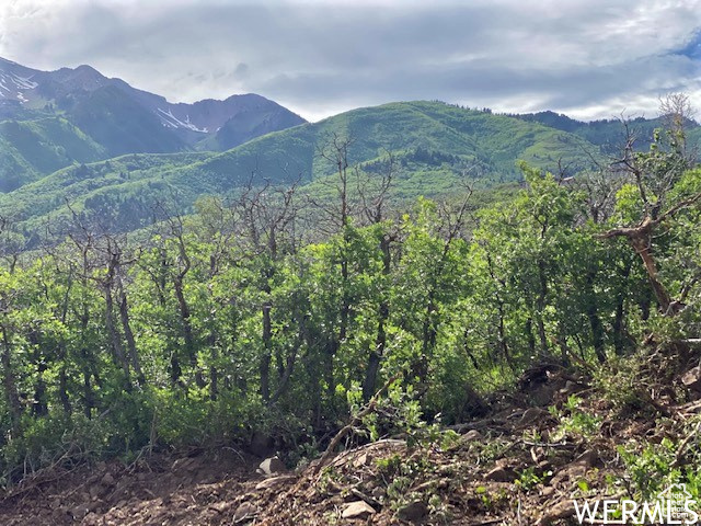 9 E SPRING MOUNTAIN DR Springville, UT 84663