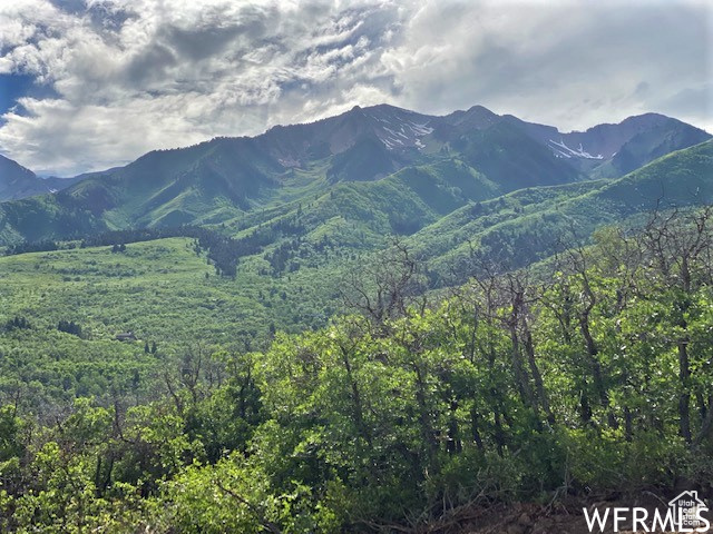 9 E SPRING MOUNTAIN DR Springville, UT 84663