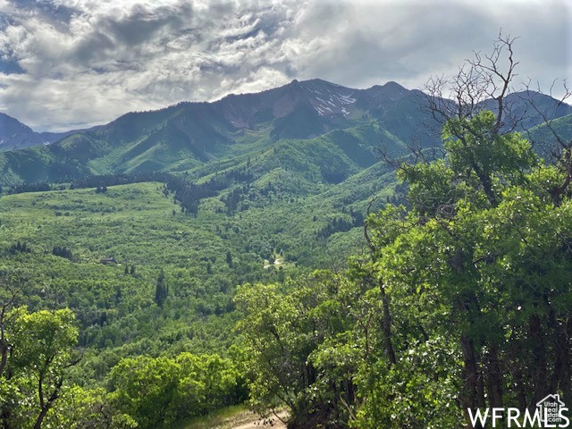 9 E SPRING MOUNTAIN DR Springville, UT 84663