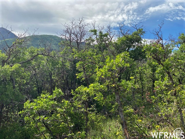 9 E SPRING MOUNTAIN DR Springville, UT 84663
