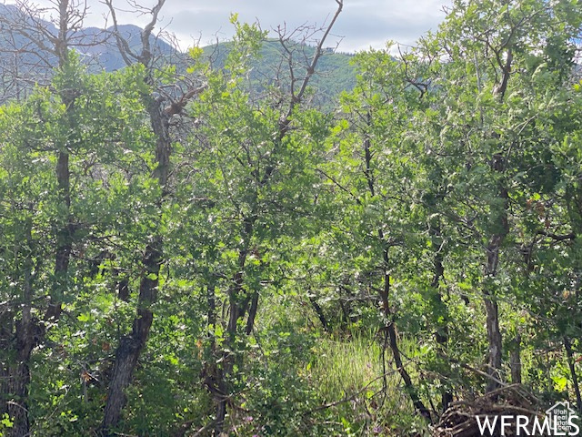 9 E SPRING MOUNTAIN DR Springville, UT 84663