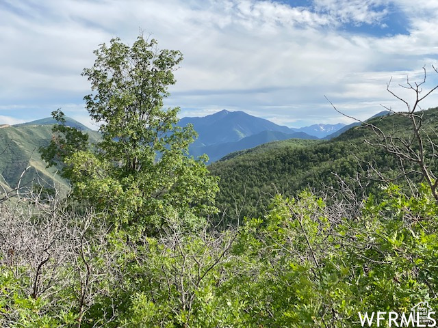 9 E SPRING MOUNTAIN DR Springville, UT 84663