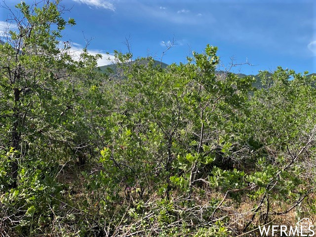 9 E SPRING MOUNTAIN DR Springville, UT 84663
