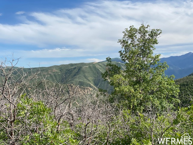 9 E SPRING MOUNTAIN DR Springville, UT 84663