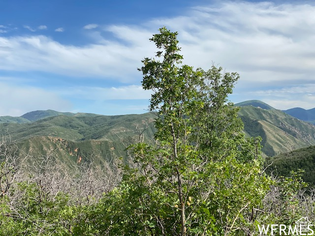 9 E SPRING MOUNTAIN DR Springville, UT 84663