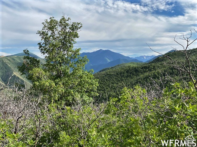 9 E SPRING MOUNTAIN DR Springville, UT 84663