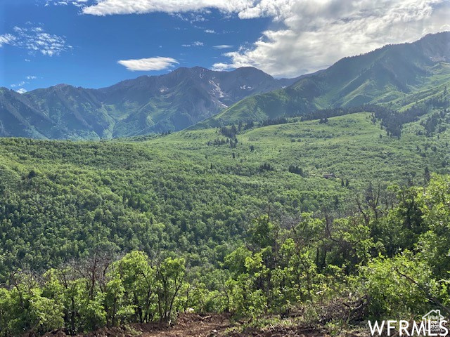 9 E SPRING MOUNTAIN DR Springville, UT 84663
