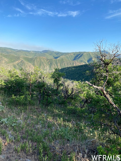 11 E SPRING MOUNTAIN DR Springville, UT 84663
