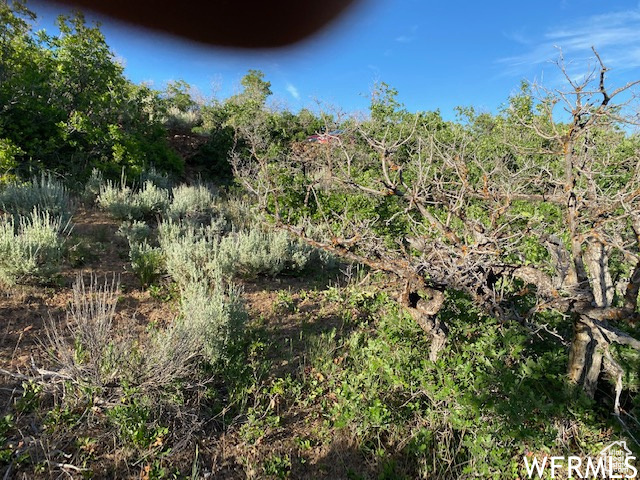 11 E SPRING MOUNTAIN DR Springville, UT 84663