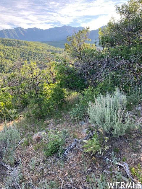 11 E SPRING MOUNTAIN DR Springville, UT 84663