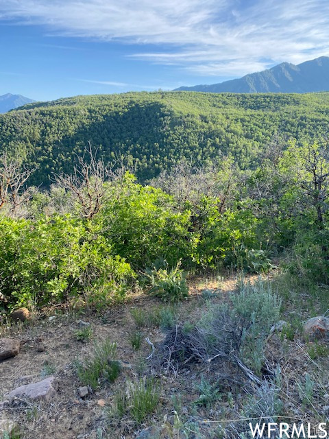 11 E SPRING MOUNTAIN DR Springville, UT 84663