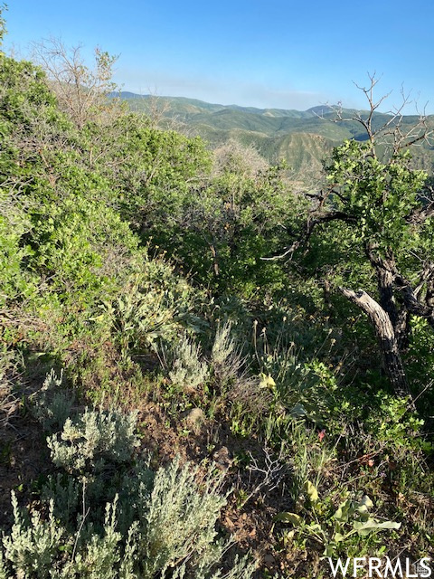 11 E SPRING MOUNTAIN DR Springville, UT 84663