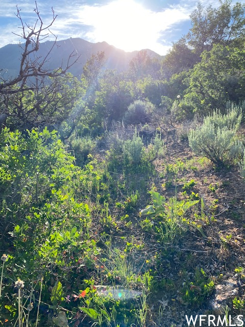 11 E SPRING MOUNTAIN DR Springville, UT 84663