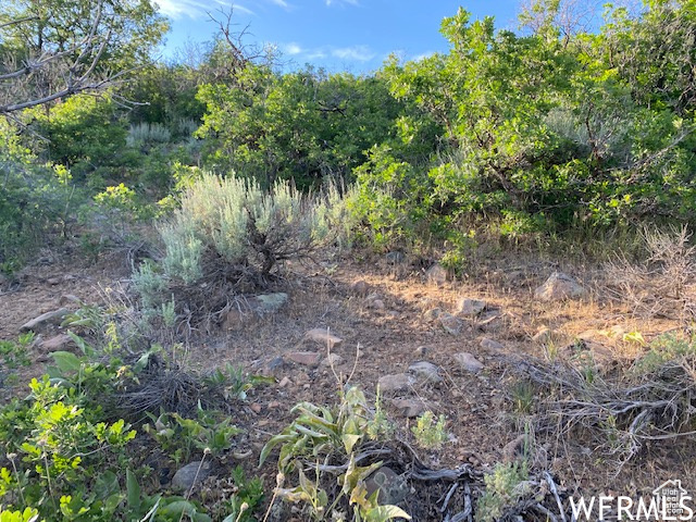 11 E SPRING MOUNTAIN DR Springville, UT 84663