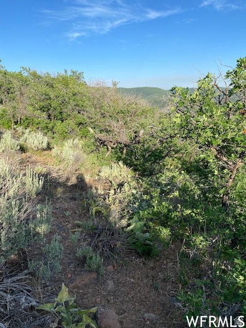 11 E SPRING MOUNTAIN DR Springville, UT 84663