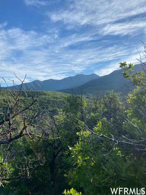 11 E SPRING MOUNTAIN DR Springville, UT 84663