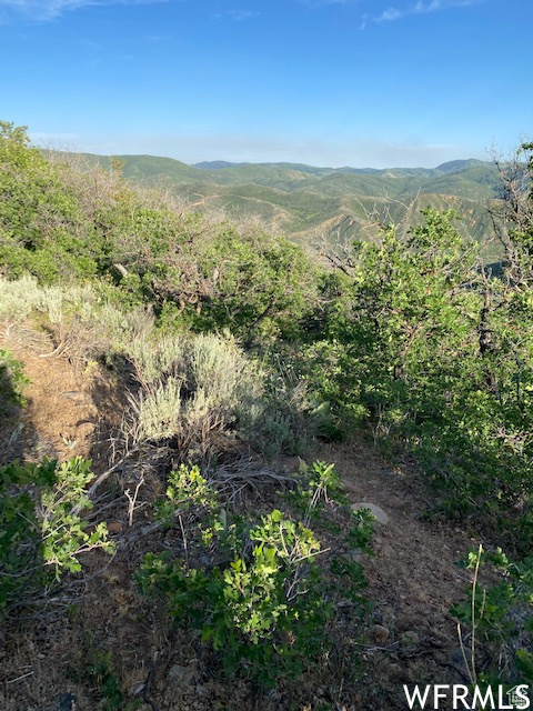 11 E SPRING MOUNTAIN DR Springville, UT 84663