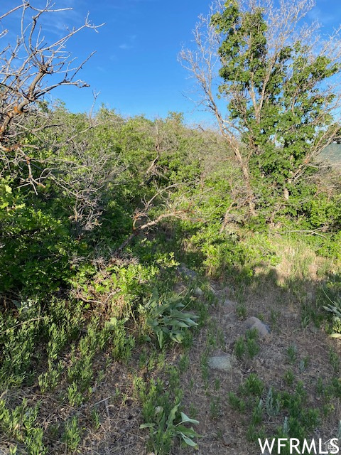 11 E SPRING MOUNTAIN DR Springville, UT 84663
